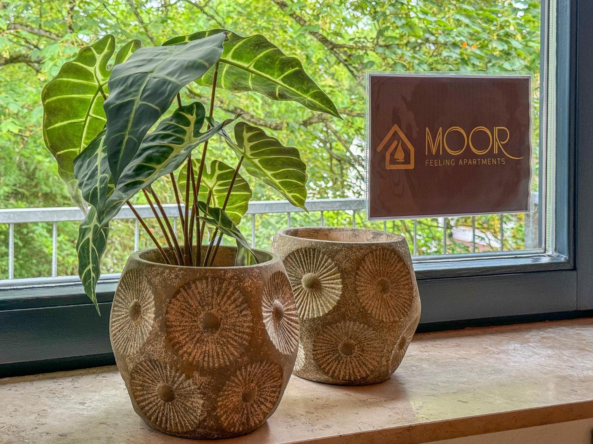 Moor Feeling Apartment